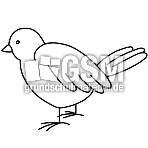 vogel2.jpg